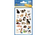 Avery papieretiket Z-design Kids pakje a 3 vel honden en katten