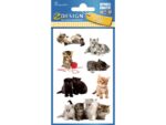 Avery papieretiket Z-design Kids pakje a 3 vel katten foto
