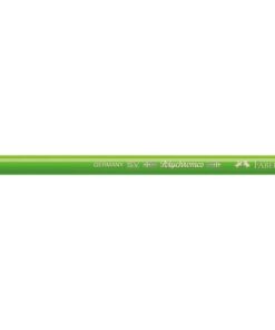Faber Castell Kleurpotlood Faber-Castell Polychromos 166 grasgroen
