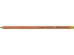 Faber Castell Pastelpotlood Faber-Castell Pitt 170 meigroen