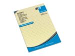 Info Notes Powernotes geruit geel 100x150mm blok a 100 vel.