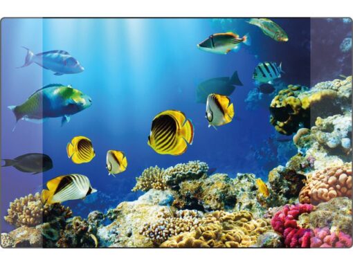Kangaro KTC Bureauonderlegger Kangaro PP 38x58cm dessin aquarium