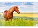 Kangaro KTC Bureauonderlegger Kangaro PP 38x58cm paard