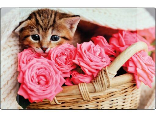 Kangaro KTC Bureauonderlegger Kangaro PP 38x58cm kitten