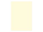 Kangaro KTC Papier Kangaro A4 160 grams pak à 50 vel beige