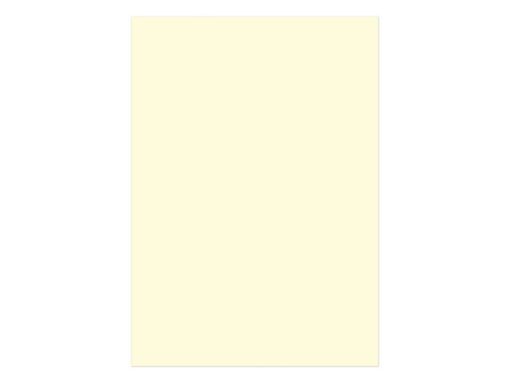Kangaro KTC Papier Kangaro A4 160 grams pak à 50 vel beige