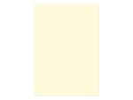 Kangaro KTC Papier Kangaro A4 120 grams pak à 100 vel beige