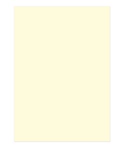 Kangaro KTC Papier Kangaro A4 120 grams pak à 100 vel beige