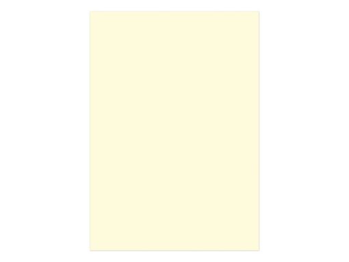 Kangaro KTC Papier Kangaro A4 120 grams pak à 100 vel beige