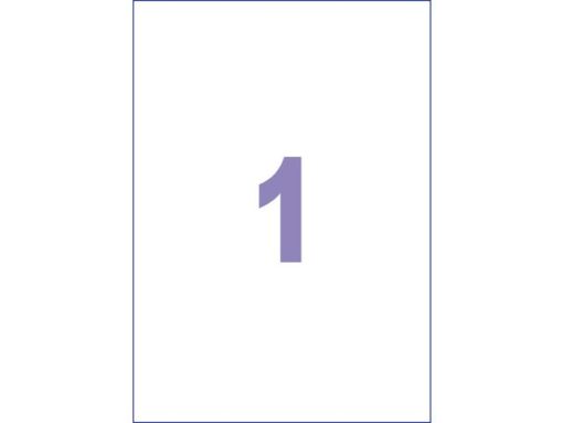 Kangaro KTC Etiket Kangaro ILK 210x297mm, doos à 25 vel, 1 etiket per   A4 vel