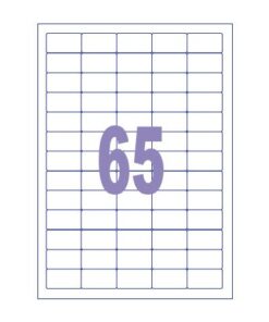 Kangaro KTC Etiket Kangaro ILK 38,1x21,2mm, doos à 100 vel, 65          etiketten per A4 vel