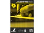 Kangaro KTC Cursusblok Kangaro A4 ruit 4x8mm 90 grams 100 vel