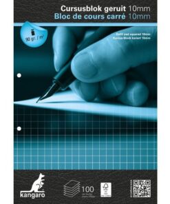 Kangaro KTC Cursusblok Kangaro A4 ruit 10mm 90 grams 100 vel