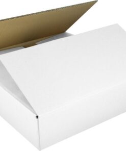 Verzenddoos Raadhuis 560x540x100mm EB-golf wit