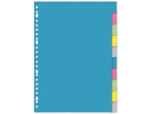 Kangaro KTC Tabblad Kangaro A4 blanco karton 220gr assorti 23-gaats     10-delig