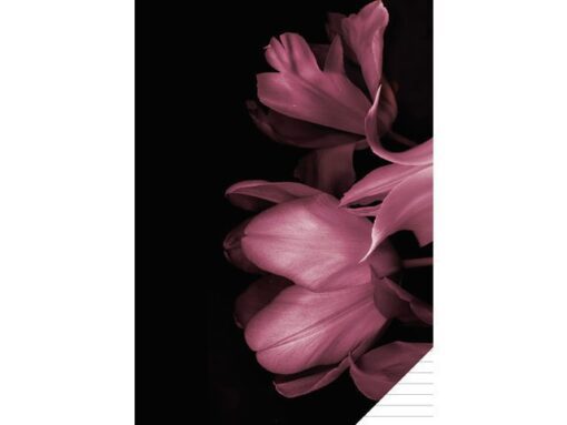 Kangaro KTC Schrift Classy Black A4 lijn