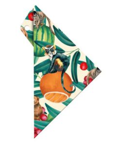 Geocover Aristo incl. geodriehoek 16cm Tropic Life