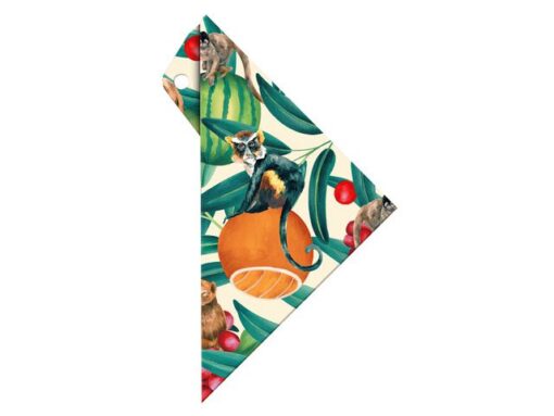 Geocover Aristo incl. geodriehoek 16cm Tropic Life