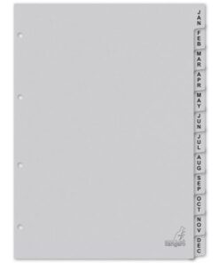 Kangaro KTC Tabblad ECO Kangaro A4 letters 180 grams grijs karton       4-gaats 12-delig jan -dec