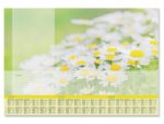 Sigel Designonderlegger Lovely Daisies 59,5x41cm, 80 grams  papier, 30 vel, 3-jaars kalender, 4 talig. Kalender