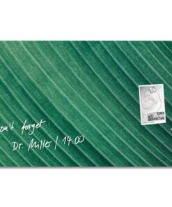 Glasmagneetboard Sigel mat PALM LEAFS 910x460x15mm 3 magn + bevestigingsmateriaal