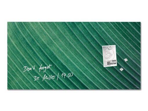 Glasmagneetboard Sigel mat PALM LEAFS 910x460x15mm 3 magn + bevestigingsmateriaal