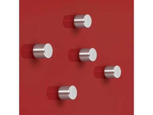Magneten Sigel voor glasbord set 5stuks zilverkleurig C5    sterk rond 10x10mm