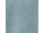 Kangaro KTC Toonbankrol Kangaro kraft dots blauw 60 grams 30 cm breed   250 meter