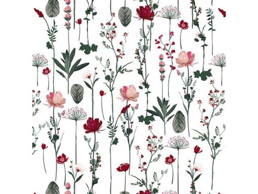 Kangaro KTC Toonbankrol Kangaro papier nature wit 80 grams 50 cm breed  200 meter