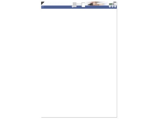 Kangaro KTC Flipoverpapier Kangaro blanco / ruit 65x100cm micro         perforatie 50 vel