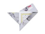 Geocoverset Aristo 3in1 White&Grey, 1 geocover, 1           geodriehoek en 1 tekendriehoek