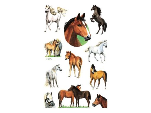 Avery papieretiket Z-design Kids pakje a 2 vel paarden