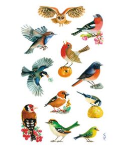 deels met glitters of reliëf. Formaat vel 76x120mm. Aantal vel 3. Motief vogels.