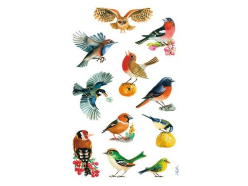 Avery papieretiket Z-design Creative pakje a 3 vel vogels