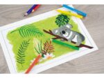 Kleurpotlood Eberhard Faber 9 cm etui a 6 stuks assorti kleuren