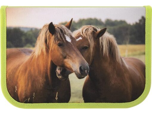 Etui Eberhard Faber Paard 42 delig