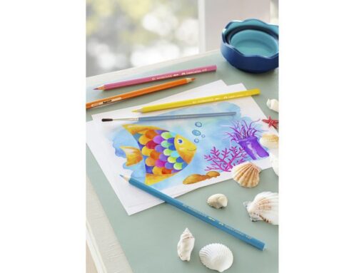 Faber Castell Aquarelpotlood Faber-Castell etui a 12 stuks + penseel