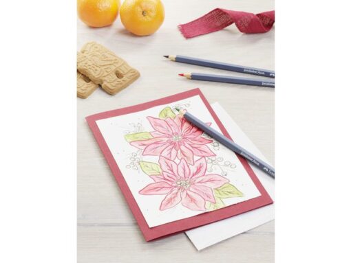 Faber Castell Aquarelkleurpotlood Faber-Castell Goldfaber etui 48 stuks