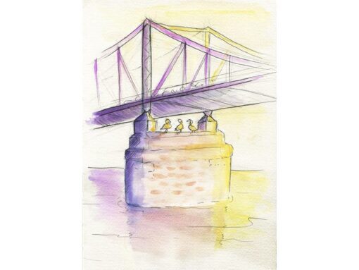 Faber Castell Waterverf Faber-Castell in box met 24 kleuren