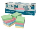 Info Notes Info nature notes ass kleur 50x40, 12 blokken a 100 vel