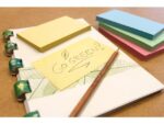 Info Notes 125x75mm assorti recycled doos a 12 blok