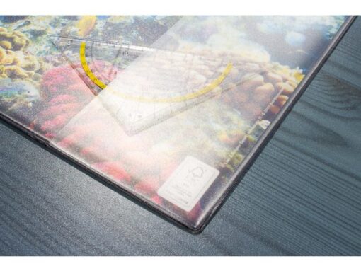 Kangaro KTC Bureauonderlegger Kangaro PP 38x58cm dessin aquarium
