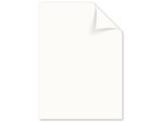 Kangaro KTC Papier Kangaro A4 160 grams pak à 50 vel assorti