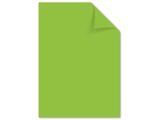 Kangaro KTC Papier Kangaro A4 160 grams pak à 50 vel assorti