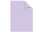 Kangaro KTC Papier Kangaro A4 160 grams pastel assorti pak a 50 vel