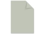 Kangaro KTC Papier Kangaro A4 160 grams pastel assorti pak a 50 vel