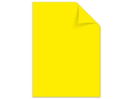 Kangaro KTC Papier Kangaro A4 120 grams pak à 100 vel assorti