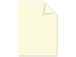 Kangaro KTC Papier Kangaro A4 120 grams pak à 100 vel assorti
