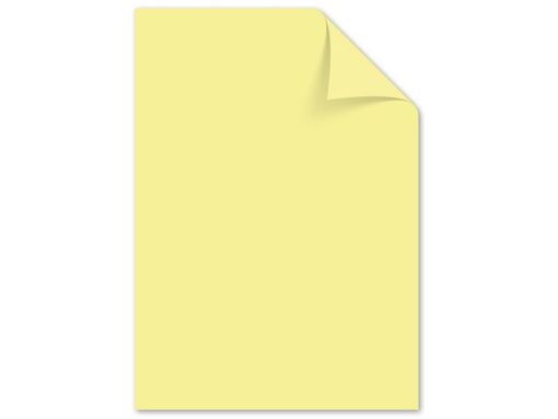 Kangaro KTC Papier Kangaro A4 120 grams pastel assorti pak a 100 vel