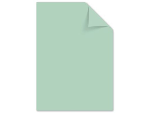 Kangaro KTC Papier Kangaro A4 120 grams pastel assorti pak a 100 vel